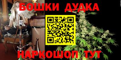 МДПВ Лесосибирск
