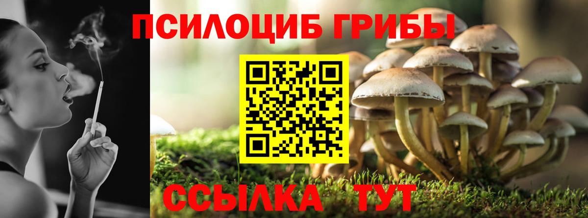 Городец  хочу наркоту  Вход с VPN  Галлюциногенные грибы GOLDEN TEACHER 